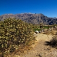 Kańon Colca