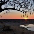 Národní park Etosha