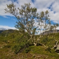 nár.park Jotunheimen