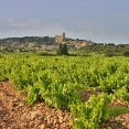 Provence, Chateauneuf-du-Pape