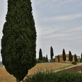 Toskánsko, cesta Montacino - Pienza