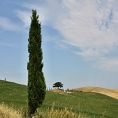 Toskánsko, cesta Siena- Montacino