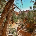 Utah, Bryce  Canyon