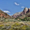 Utah, nár.park Zion