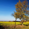 Vých.Čechy, Choceńsko- Újezd