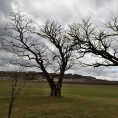 Vých.Čechy, Klášter nad Dědinou