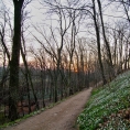 Vých.Čechy, Kostelec n.O.- zámecký park