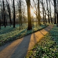 Vých.Čechy, Kostelec n.O.- zámecký park