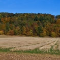 Vých.Čechy, Křivice - Křivina