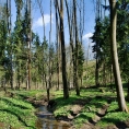 Vých.Čechy, Orlice u Letohradu