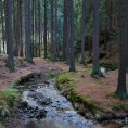 Vých.Čechy, Toulovcovy maštale