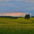 Vých.Čechy,Choceňsko - Oucmanice